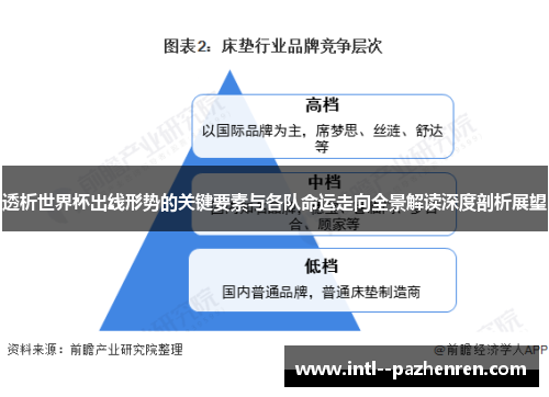 透析世界杯出线形势的关键要素与各队命运走向全景解读深度剖析展望